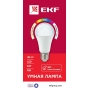  LED- EKF   