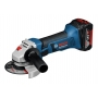 Bosch GWS 18-125 V-LI Professional:       .