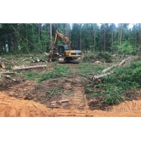 СК "Артель" вырубка леса   