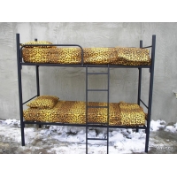 Металлические кровати двухъярусные, кровати для школ 2КС-2У Металлические кровати двухъярусные, кровати для школ 2КС-2У