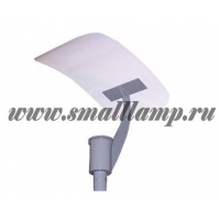   "-31"  smalllamp 