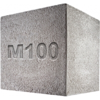  100     