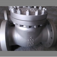 Carbon Steel Flanged Check Valve   