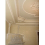    Ursus decor  -