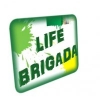  ""  /LLD Lifebrigada 